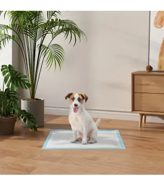 Empapadores para Perros 100 Unidad 45x60 cm Diseño de 6 Capas con Superficie de Secado Rápido a Prueba de Fugas Azul