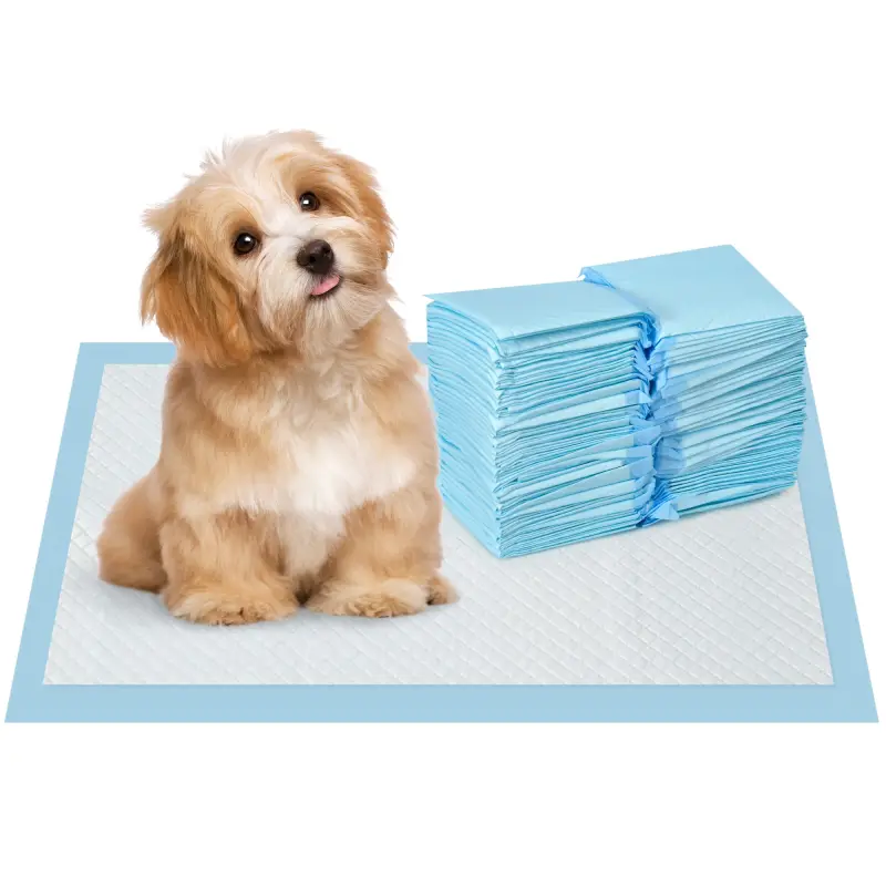 Empapadores para Perros 100 Unidad 45x30 cm Diseño de 6 Capas con Superficie de Secado Rápido a Prueba de Fugas Azul