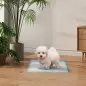 Empapadores para Perros 100 Unidad 45x30 cm Diseño de 6 Capas con Superficie de Secado Rápido a Prueba de Fugas Azul