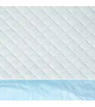 Empapadores para Perros