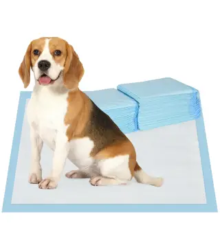 Empapadores para Perros