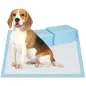Empapadores para Perros 80 Unidad 60x60 cm Diseño de 6 Capas con Superficie de Secado Rápido a Prueba de Fugas Azul