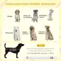 Casa para Perros Pequeños con Techo Abatible Frontal de Acrílico y Fondo Extraíble 101x66,5x70,5 cm Gris Oscuro Casa para Perros Pequeños con Techo Abatible Frontal de Acrílico y Fondo Extraíble 101x66,5x70,5 cm Gris Oscuro