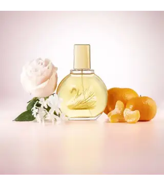 GLORIA VANDERBILT VANDERBILT EAU DE TOILETTE 100ML VAPORIZADOR