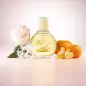 GLORIA VANDERBILT VANDERBILT EAU DE TOILETTE 100ML VAPORIZADOR