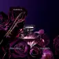 LANCOME TRESOR LA NUIT EAU DE PARFUM 50ML VAPORIZADOR