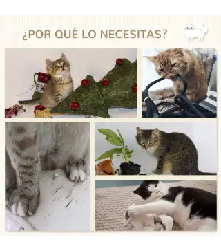 Estanterías para Gatos