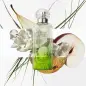 HERMES PARIS UN JARDIN SUR LE TOIT EAU DE TOILETTE 100ML VAPORIZADOR