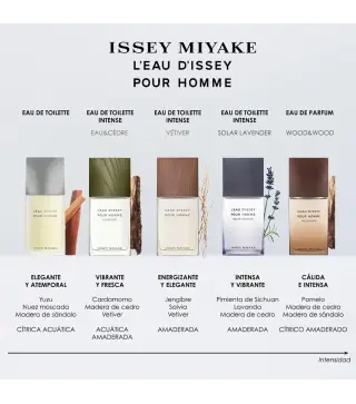 ISSEY MIYAKE L'EAU D'ISSEY EAU DE TOILETTE POUR HOMME 40ML VAPORIZADOR