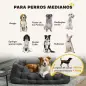 Cama para Mascotas con 2 Almohadas Colchón para Perros Antideslizante con Funda Extraíble y Lavable 110x70x35 cm Gris