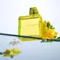 MANDARINA DUCK MANDARINA DUCK EAU DE TOILETTE 100ML VAPORIZADOR