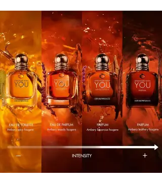 GIORGIO ARMANI STRONGER WITH YOU EAU DE TOILETTE POUR HOMME 100ML VAPORIZADOR