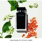 NARCISO RODRIGUEZ FOR HER EAU DE TOILETTE 50ML VAPORIZADOR NARCISO RODRIGUEZ FOR HER EAU DE TOILETTE 50ML VAPORIZADOR