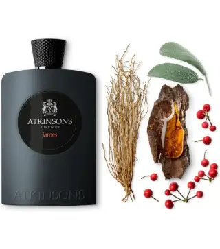 ATKINSONS JAMES EAU DE PARFUM 100ML VAPORIZADOR