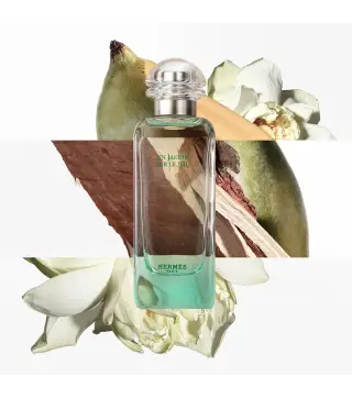 HERMES PARIS UN JARDIN SUR LE NIL EAU DE TOILETTE 100ML VAPORIZADOR