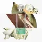 HERMES PARIS UN JARDIN SUR LE NIL EAU DE TOILETTE 100ML VAPORIZADOR