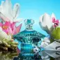 BRITNEY SPEARS CURIOUS EAU DE PARFUM 100ML VAPORIZADOR