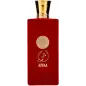 NUSUK AJWAA CONCENTRATED EAU DE PARFUM 100ML VAPORIZADOR
