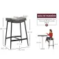 Conjunto de 2 Taburetes Altos de Cocina con Estructura de Acero Estilo Industrial Carga 120 kg para Comedor Bar Gris