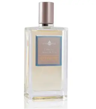 AFFINESSENCE NOTES DE TETE GIMGEMBRE LITTLE EAU DE PARFUM 100ML
