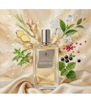 AFFINESSENCE NOTES DE TETE GIMGEMBRE LITTLE EAU DE PARFUM 100ML