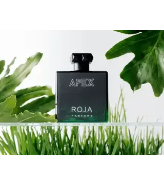 ROJA APEX EAU DE PARFUM POUR HOMME 100ML