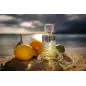 ROCHAS EAU DE ROCHAS EAU DE TOILETTE 100ML VAPORIZADOR + LOCION CORPORAL PERFUMADA 100ML + MINIATURA 10ML VAPORIZADOR