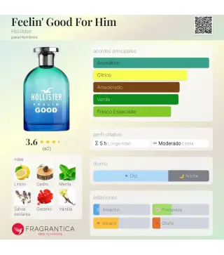 HOLLISTER FEELIN' GOOD EAU DE TOILETTE FOR HOMME 30ML