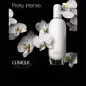 CLINIQUE AROMATICS IN WHITE EAU DE PARFUM 100ML VAPORIZADOR