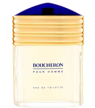 BOUCHERON POUR HOMME EAU DE TOILETTE 100ML VAPORIZADOR