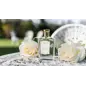 FLORIS LONDON WHITE ROSE EAU DE TOILETTE 100ML VAPORIZADOR