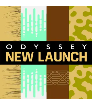 ARMAF ODYSSEY WILD ONE EAU DE PARFUM GOLD EDITION 100ML VAPORIZADOR