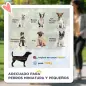 Cochecito para Perros Pequeños Plegable Cochecito para Mascotas con Vagón Desmontable 4 Puertas con Cremallera Gris Cochecito para Perros Pequeños Plegable Cochecito para Mascotas con Vagón Desmontable 4 Puertas con Cremallera Gris