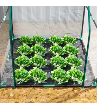 Invernadero Pequeño