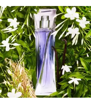 LANCOME HYPNOSE EAU DE PARFUM 75ML VAPORIZADOR