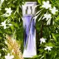LANCOME HYPNOSE EAU DE PARFUM 75ML VAPORIZADOR