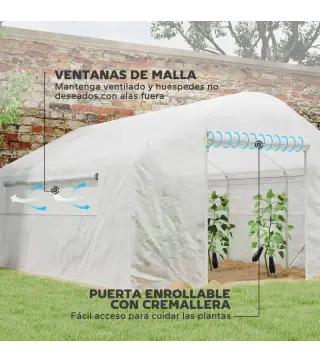 Invernadero de Túnel