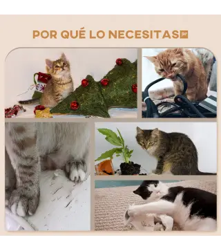 Estantes para Gatos
