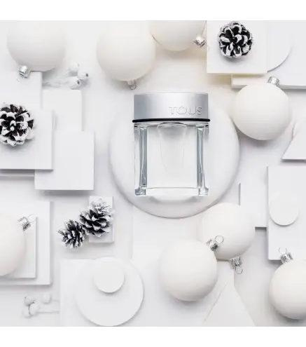 TOUS MAN EAU DE TOILETTE 100ML VAPORIZADOR