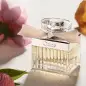 CHLOE SIGNATURE EAU DE PARFUM 100ML + LOCION CORPORAL PERFUMADA 100ML + EAU DE PARFUM MINI 5ML