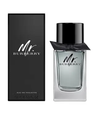 BURBERRY MR.BURBERRY EAU DE TOILETTE 100ML VAPORIZADOR