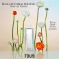 TOUS BEAR EAU DE TOILETTE 90ML + EAU DE TOILETTE 15ML VAPORIZADOR + METALIC BOX 1U.