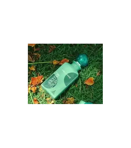 PARIS CORNER METERNAL MEADOWS EAU DE PARFUM 85ML VAPORIZADOR