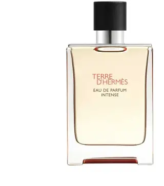 HERMES PARIS TERRE D'HERMES EAU DE PARFUM INTENSE RECHARGABLE 100ML VAPORIZADOR
