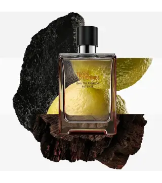 HERMES PARIS TERRE D'HERMES EAU DE PARFUM INTENSE RECHARGABLE 100ML VAPORIZADOR