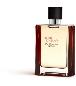 HERMES PARIS TERRE D'HERMES EAU DE PARFUM INTENSE RECHARGABLE 100ML VAPORIZADOR