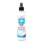 EBIN NEW YORK WONDER LACE BOND SPRAY CAPILAR RESISTENTE AL AGUA 250ML