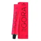 SCHWARZKPOF IGORA ROYAL PERMANENT COLOR CREME 08--11 60ML