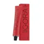 SCHWARZKPOF IGORA ROYAL PERMANENT COLOR CREME 368 60ML