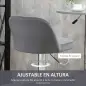 Juego de 2 Taburetes de Cocina Taburetes Altos con Altura Ajustable Asiento Giratorio 43x45x81-101 cm Gris